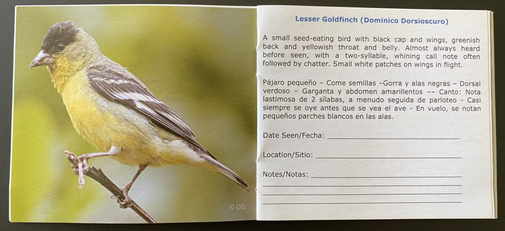 A snapshot within the Beginner's Checklist of Common Birds in Los Angeles Area.  Image of a Lesser Goldfinch, followed by species description and call.  